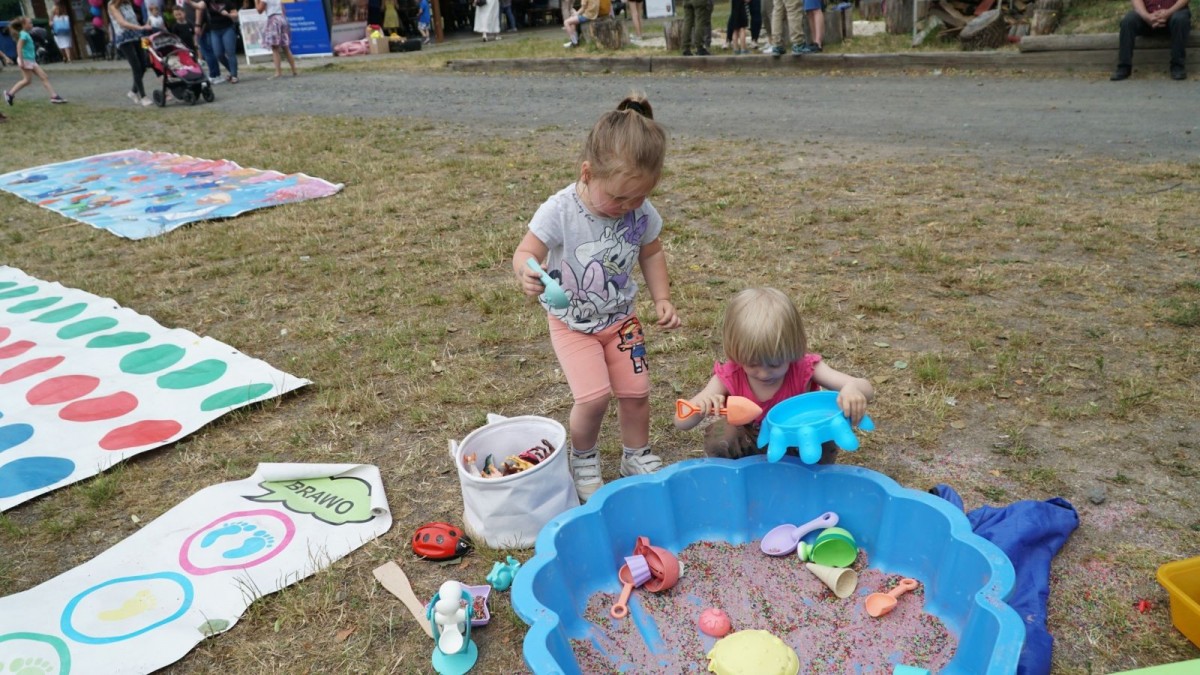 Piknik Integracyjny rodzin zastępczych i dzieci z placówek opiekuńczo-wychowawczych