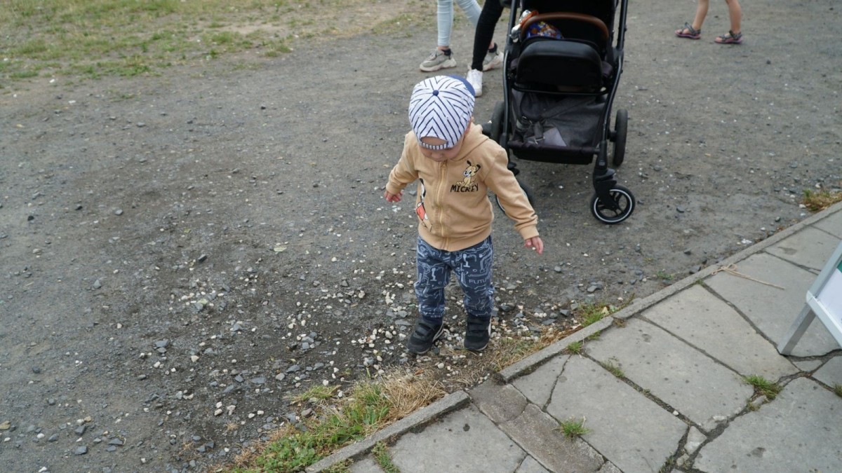 Piknik Integracyjny rodzin zastępczych i dzieci z placówek opiekuńczo-wychowawczych