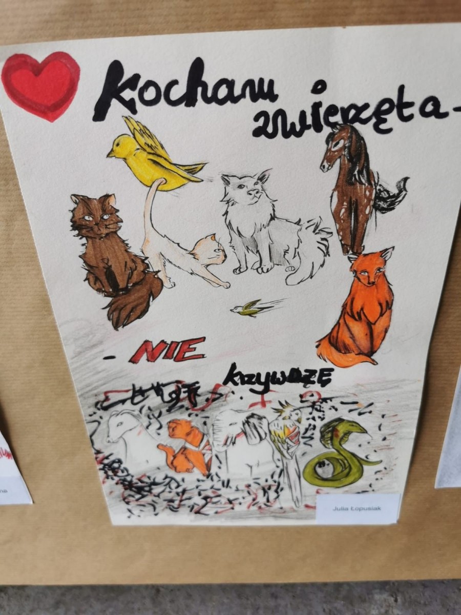 Piknik Integracyjny rodzin zastępczych i dzieci z placówek opiekuńczo-wychowawczych