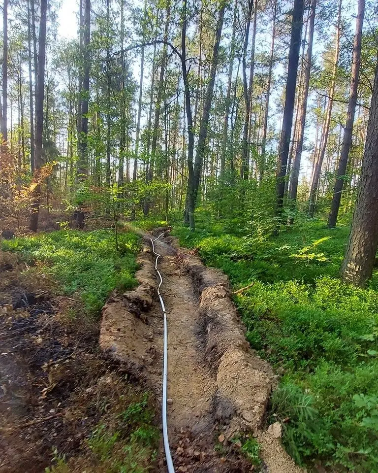 Акція пожежної служби в лісі між Nowogrodziec і Nawojów