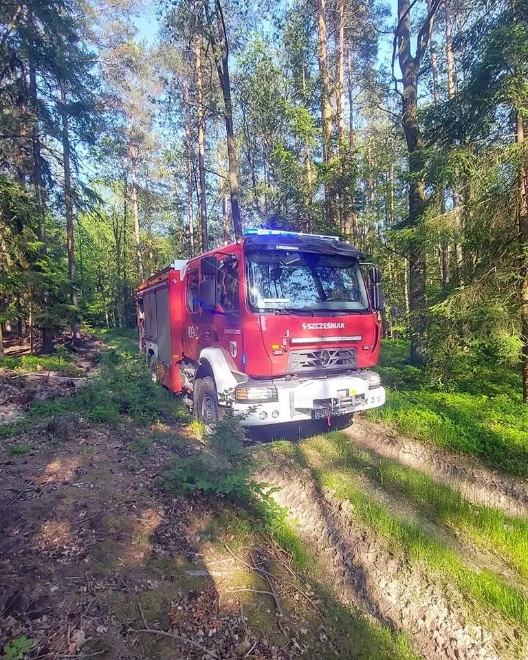 Akcja straży pożarnej w lesie między Nowogrodźcem a Nawojowem