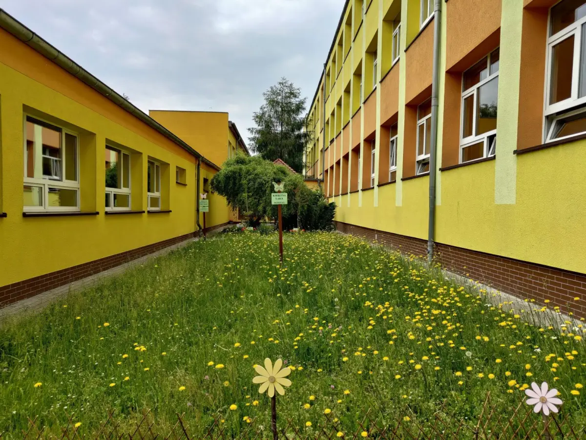 dziki ogród przy Szkole Podstawowej nr 4