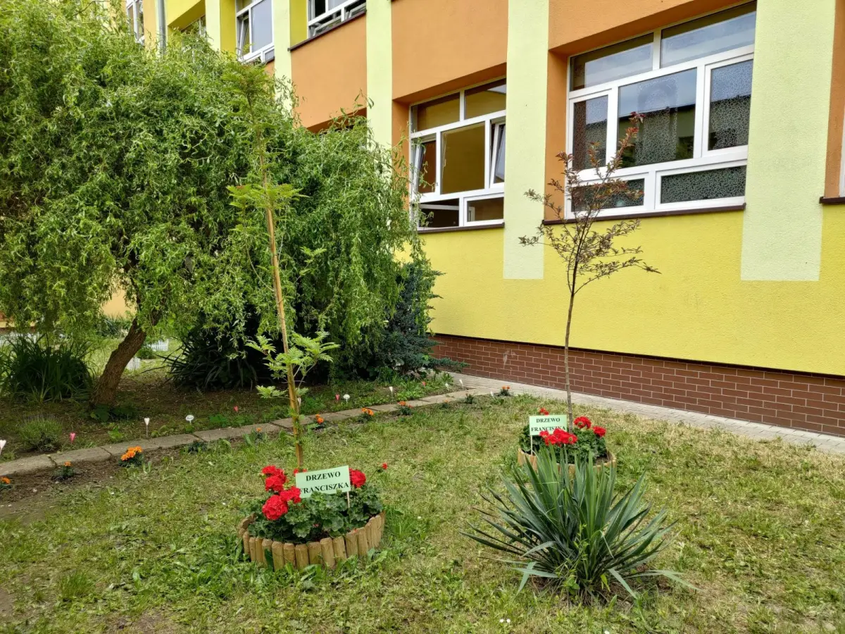 dziki ogród przy Szkole Podstawowej nr 4