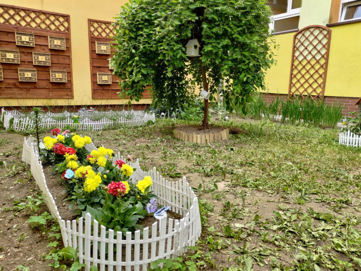 dziki ogród przy Szkole Podstawowej nr 4