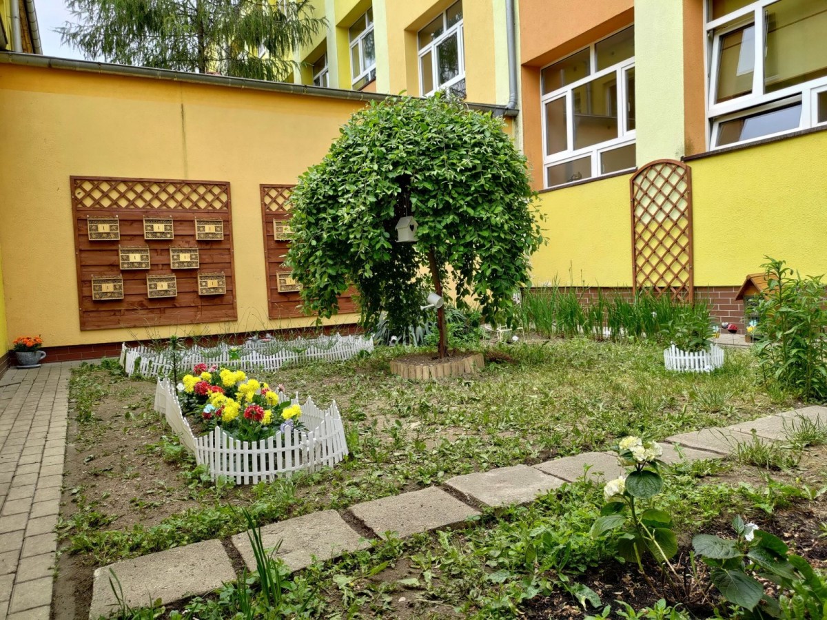 dziki ogród przy Szkole Podstawowej nr 4