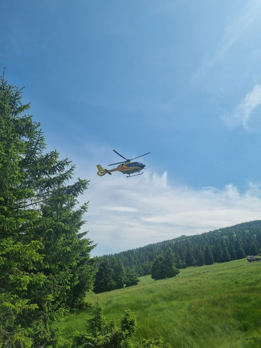 Działania ratowników medycznych