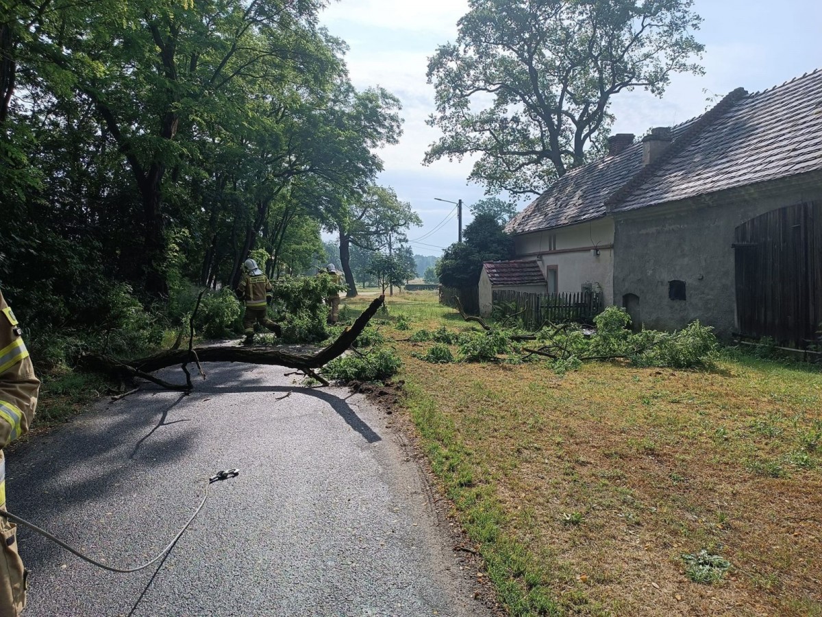 Akcja strażaków w Patoce