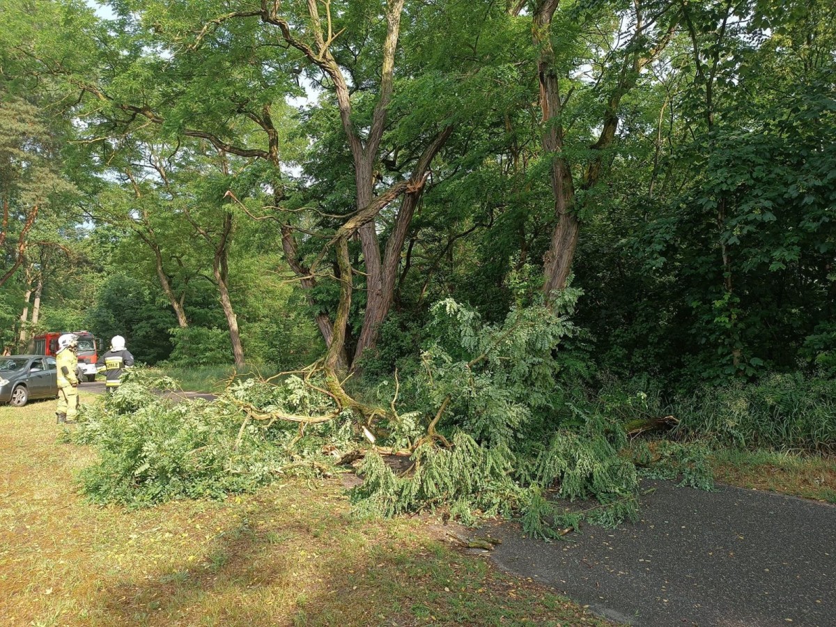 Akcja strażaków w Patoce