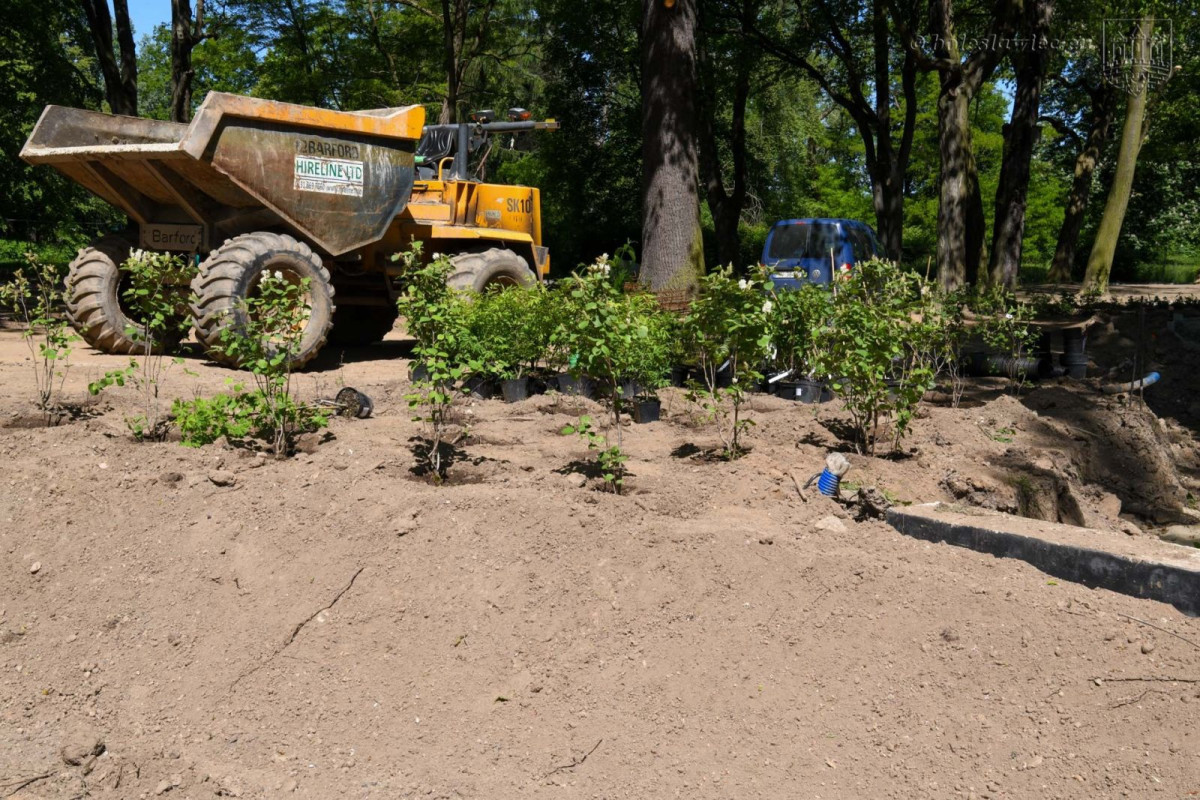 Prace w parku przy Zgorzeleckiej w Bolesławcu