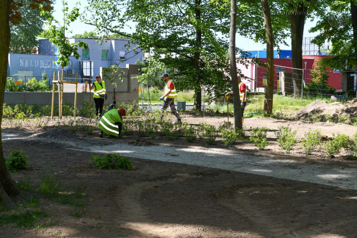 Prace w parku przy Zgorzeleckiej w Bolesławcu