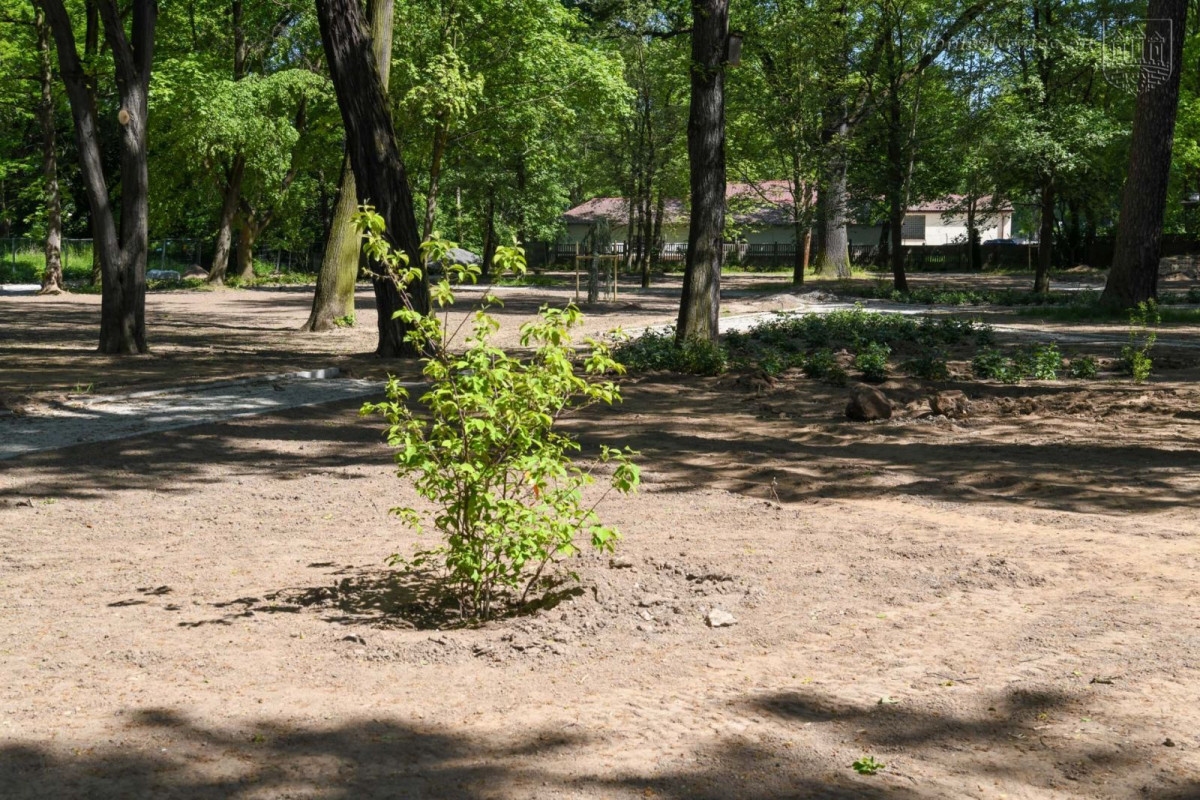 Prace w parku przy Zgorzeleckiej w Bolesławcu