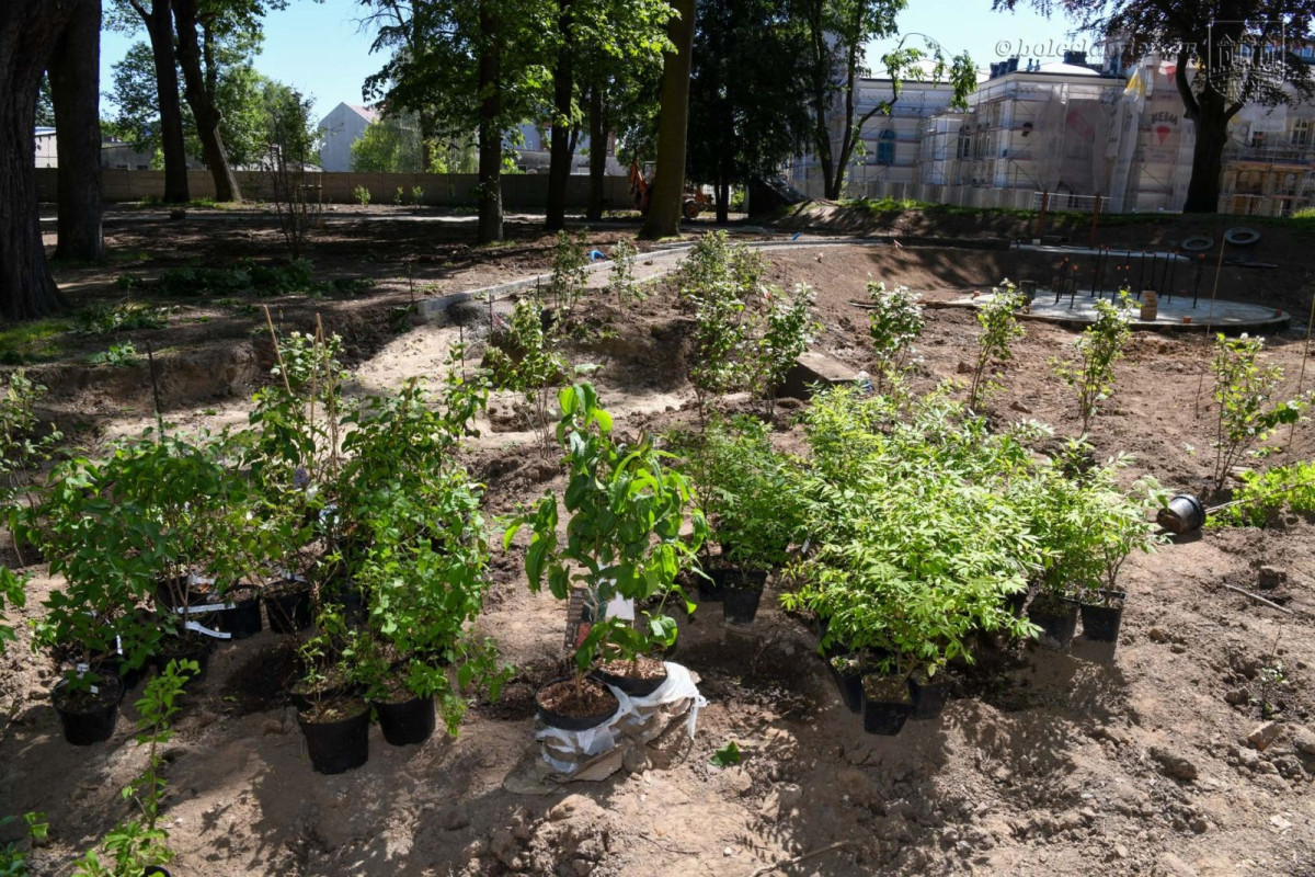 Prace w parku przy Zgorzeleckiej w Bolesławcu