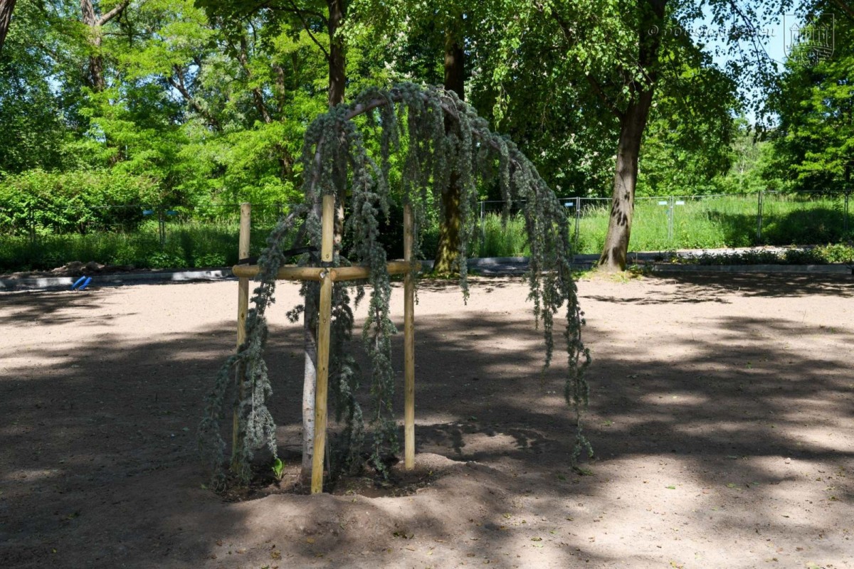 Prace w parku przy Zgorzeleckiej w Bolesławcu