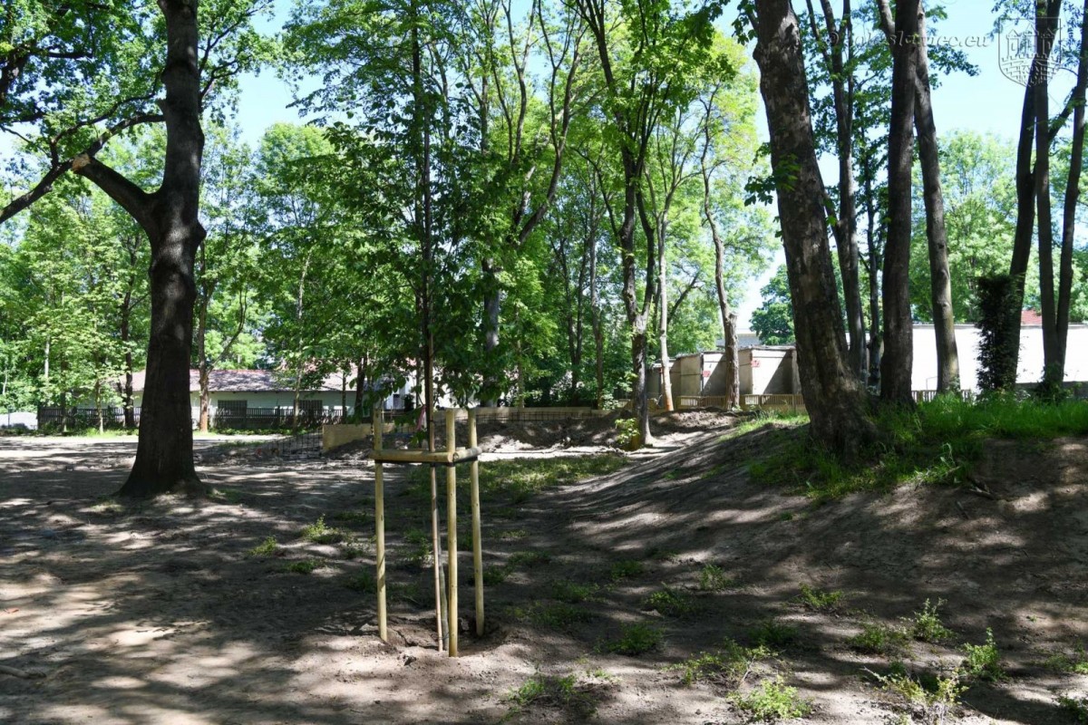 Prace w parku przy Zgorzeleckiej w Bolesławcu