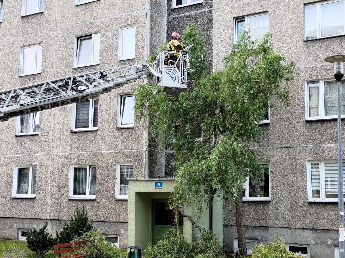 Akcja staży pożarnej przy ulicy Kleeberga w Bolesławcu