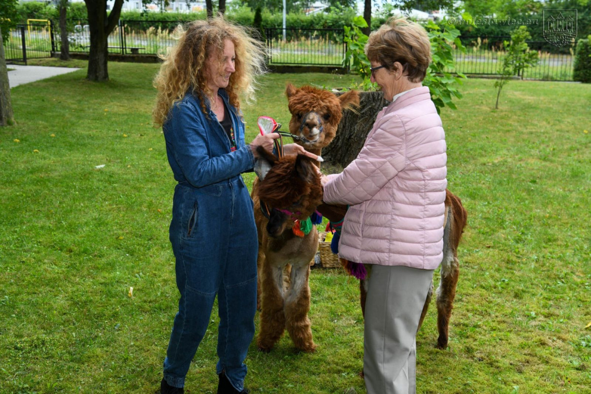 Olimpiada Optymizmu w Bolesławcu