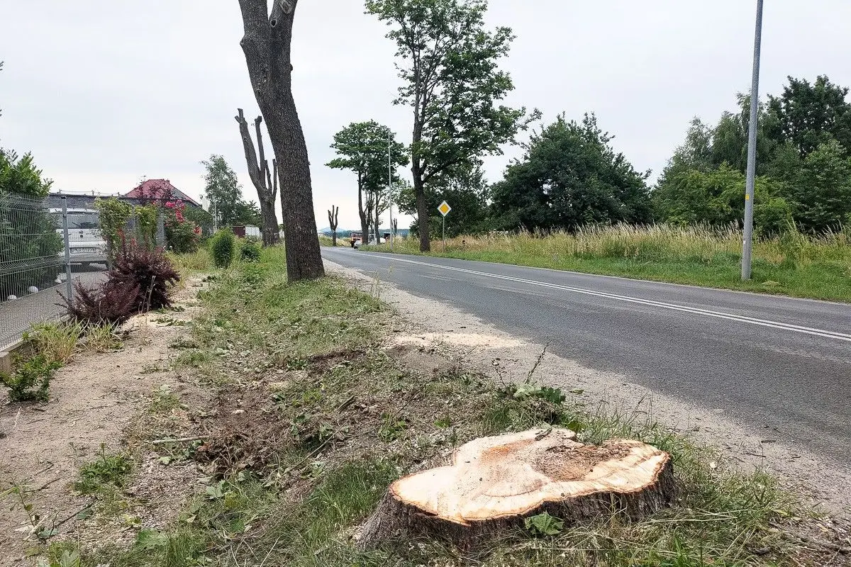 Prace przy drodze Bolesławiec–Łaziska