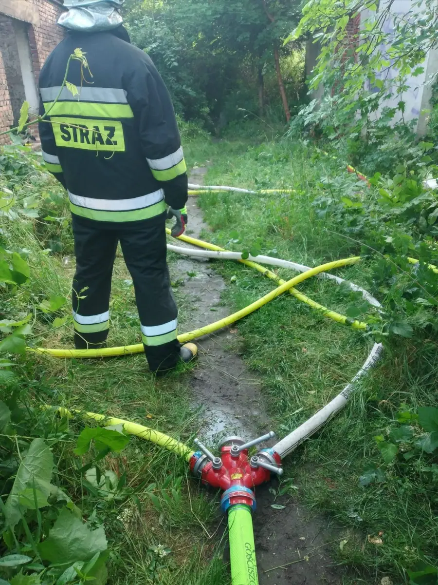 Akcja służb w Nowogrodźcu