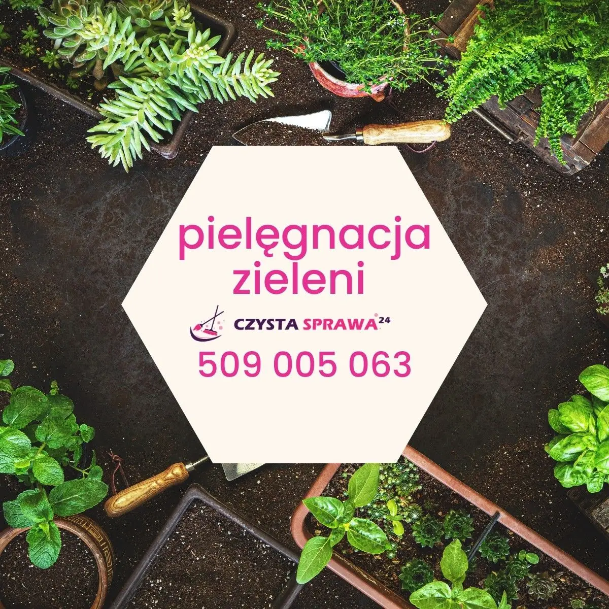 Pielęgnacja Ogrodów i Terenów Zielonych przez Czystasprawa24.pl z Bolesławca