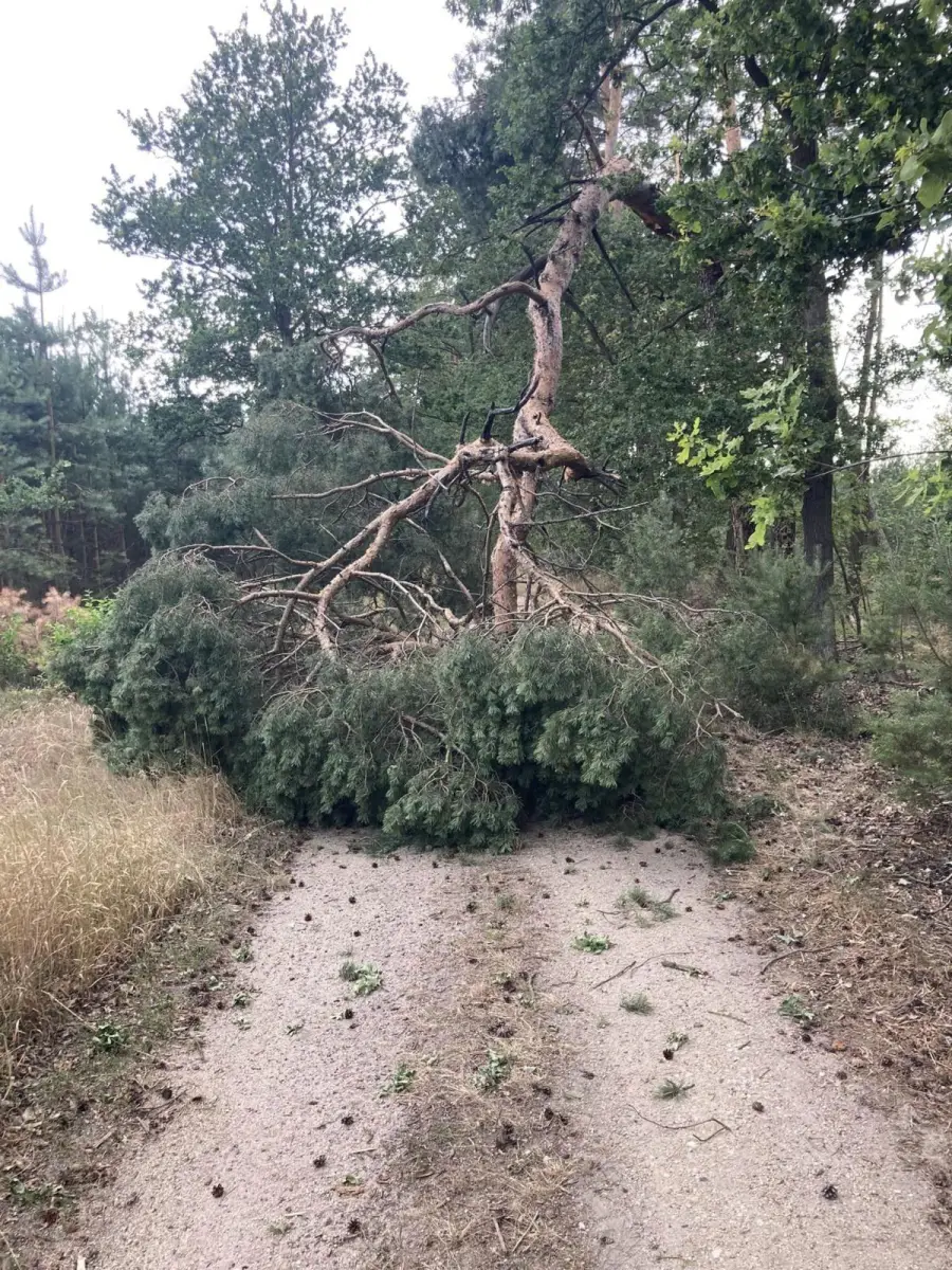 Miejscowe zagrożenie między Nową Kuźnią a Pasternikiem