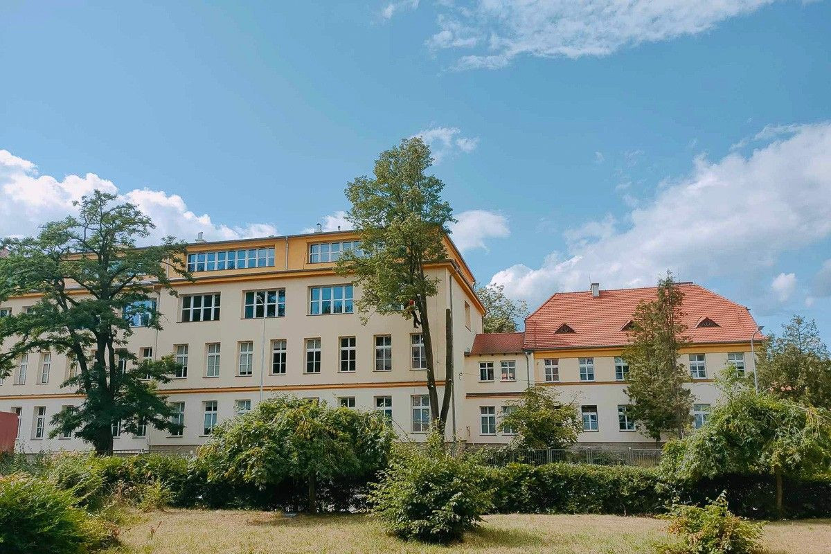 Wycinka i przycinanie drzew przy I Liceum Ogólnokształcącym w Bolesławcu