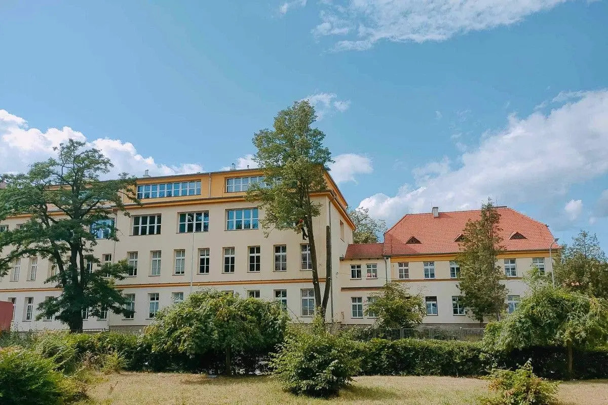 Wycinka i przycinanie drzew przy I Liceum Ogólnokształcącym w Bolesławcu