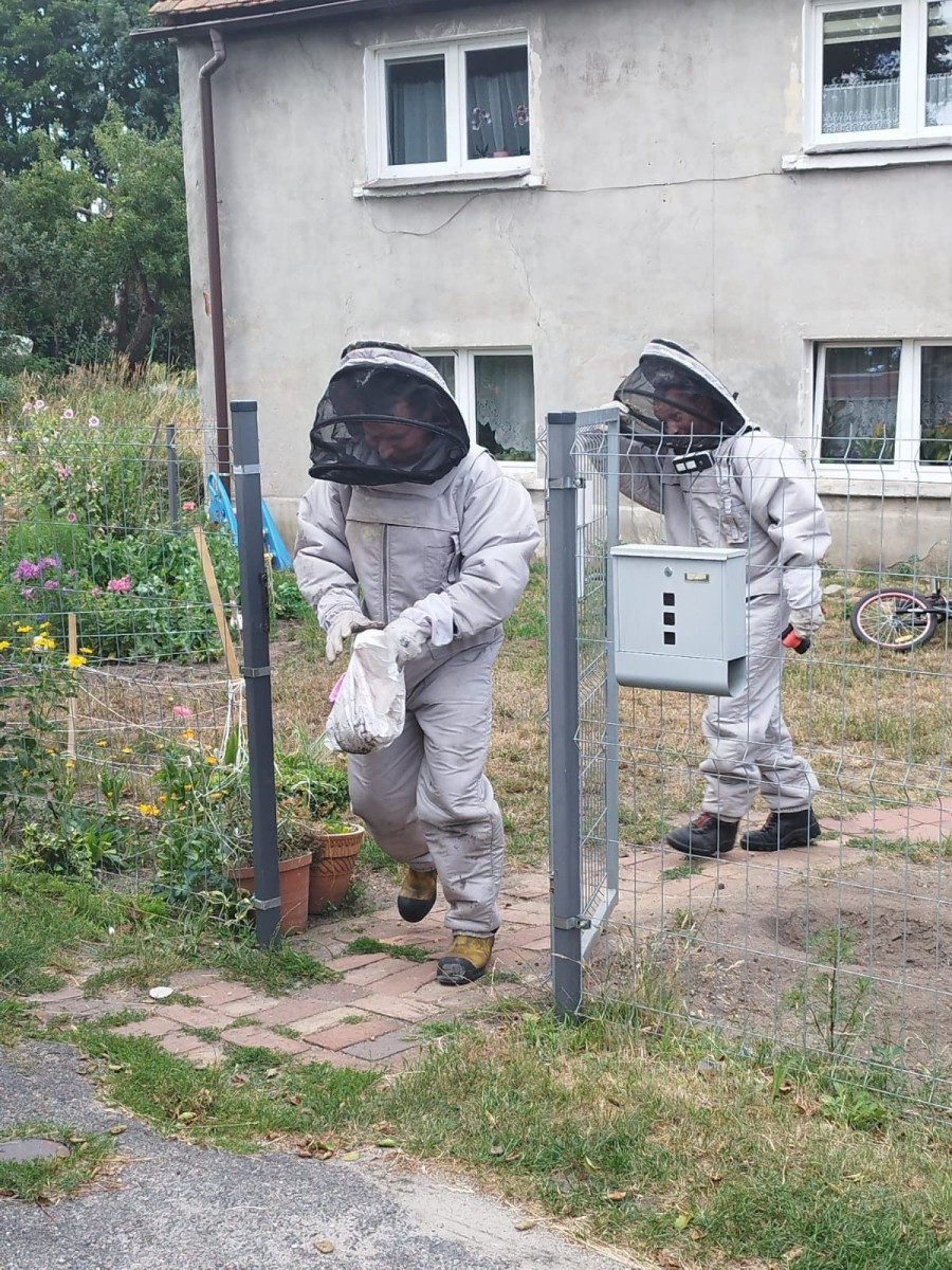 Akcja strażaków w miejscowości Modła