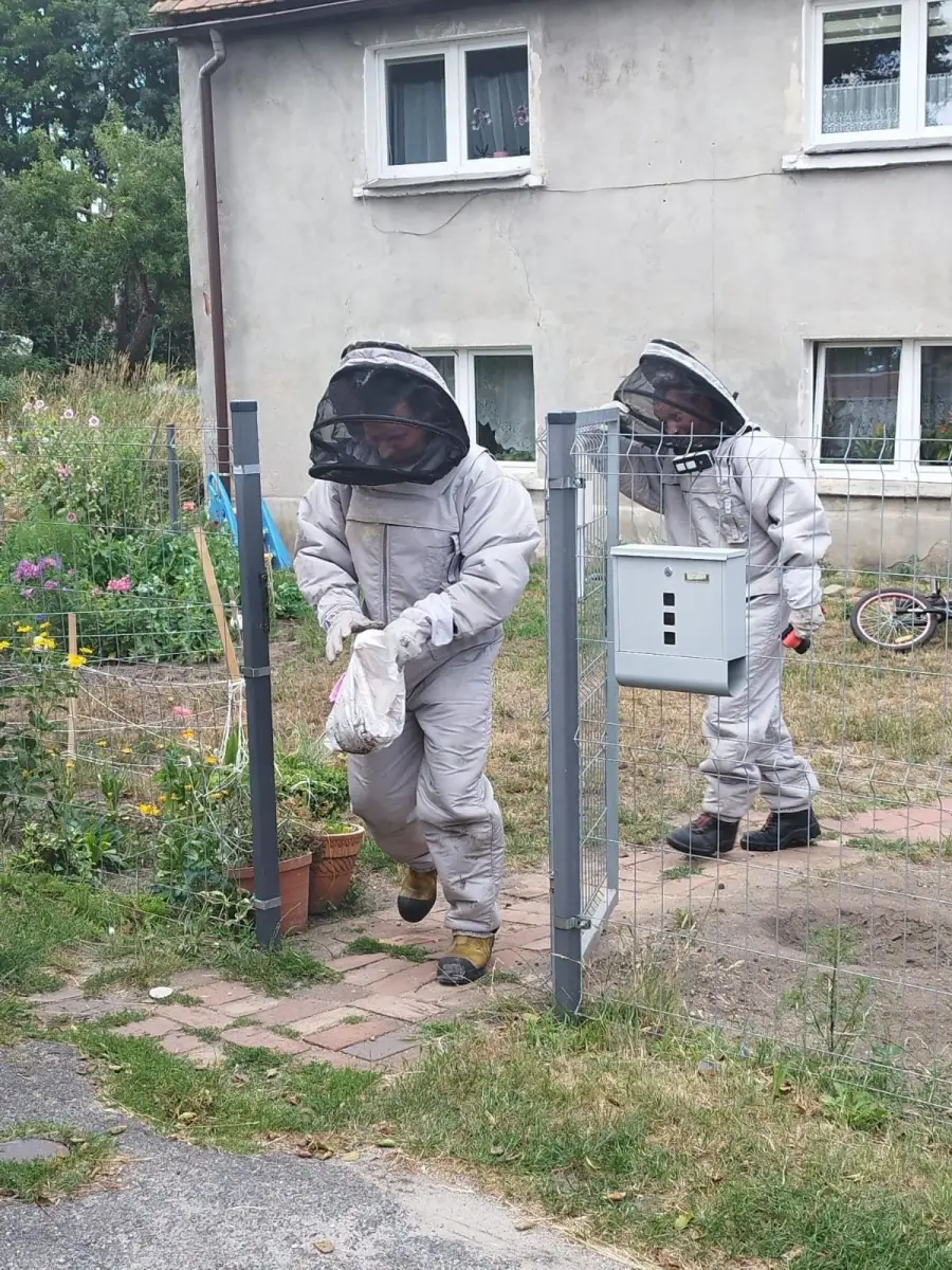 Akcja strażaków w miejscowości Modła