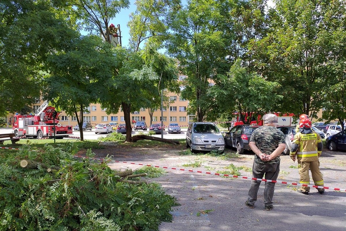 Akcja służb na Spółdzielczej w Bolesławcu