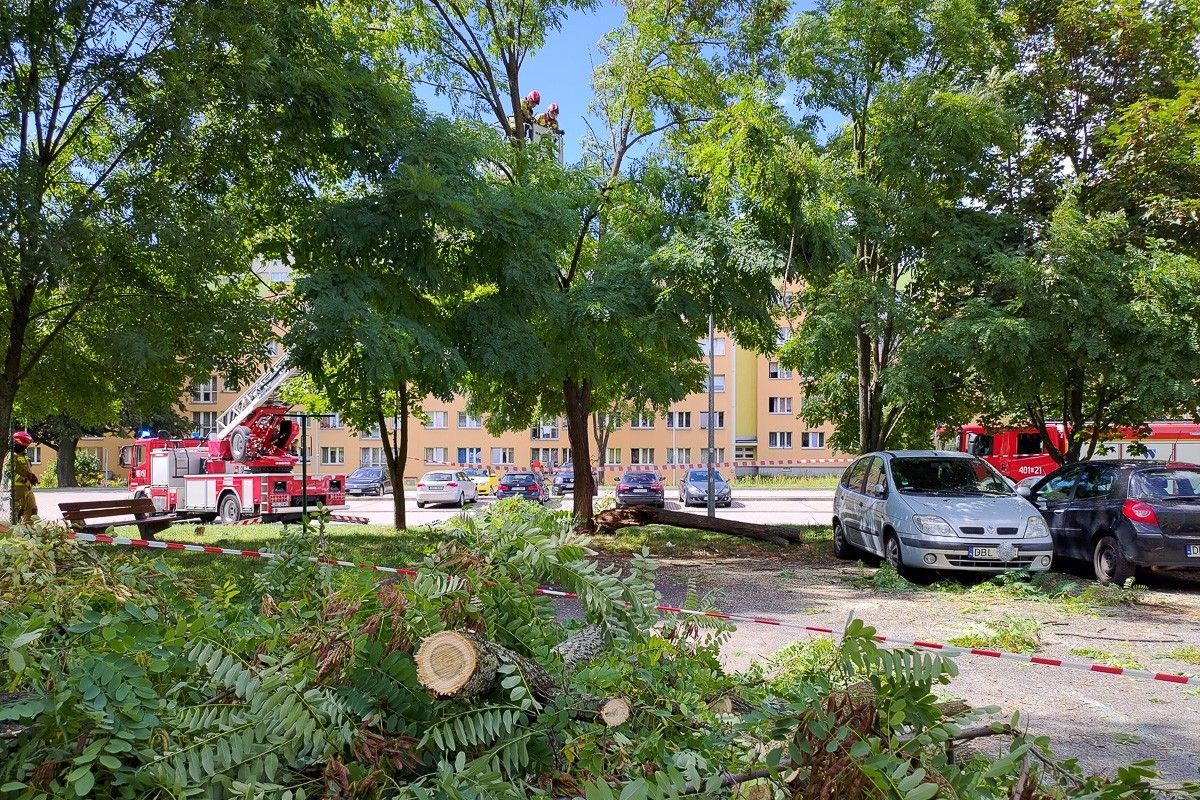 Akcja służb na Spółdzielczej w Bolesławcu