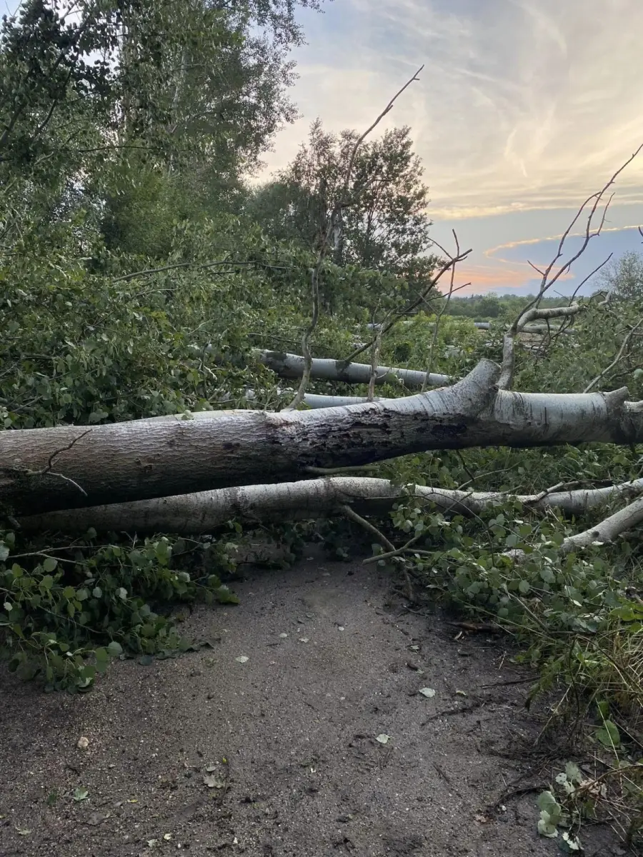 Strażacy usuwali skutki nawałnicy w powiecie bolesławieckim