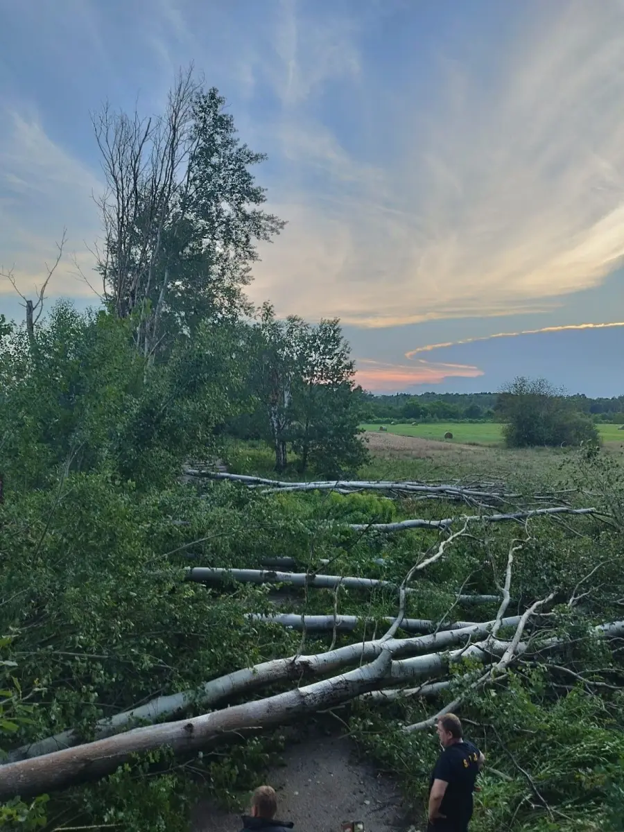 Strażacy usuwali skutki nawałnicy w powiecie bolesławieckim