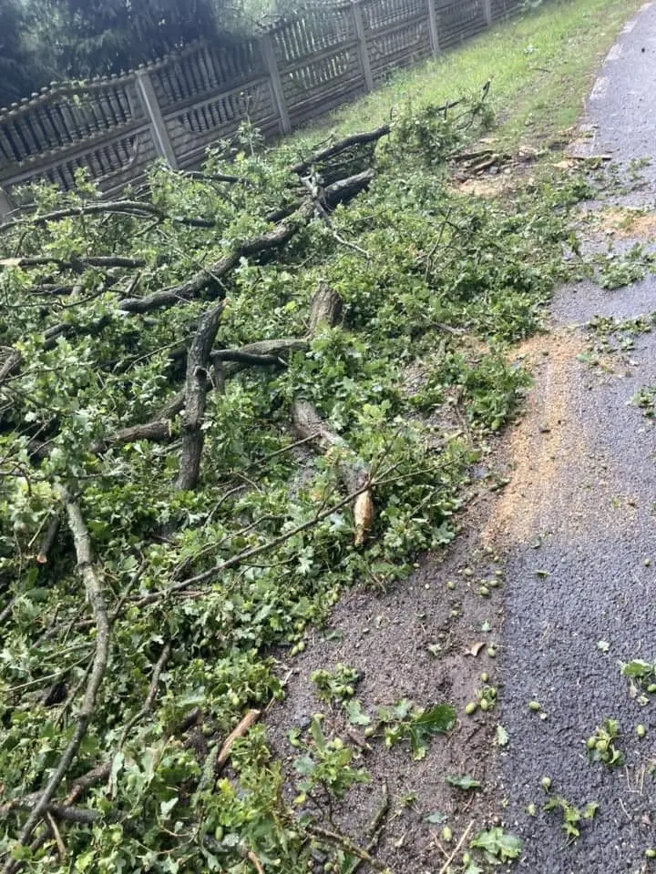 Strażacy usuwali skutki nawałnicy w powiecie bolesławieckim