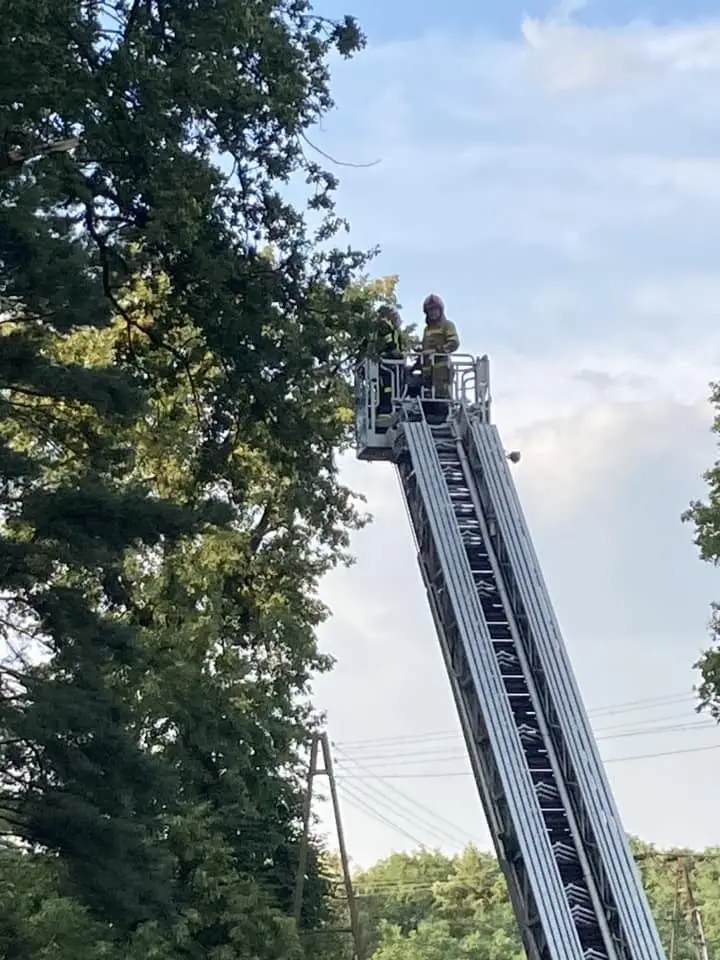 Strażacy usuwali skutki nawałnicy w powiecie bolesławieckim