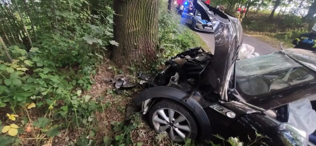 Zdarzenie między Modlikowicami a Zagrodnem