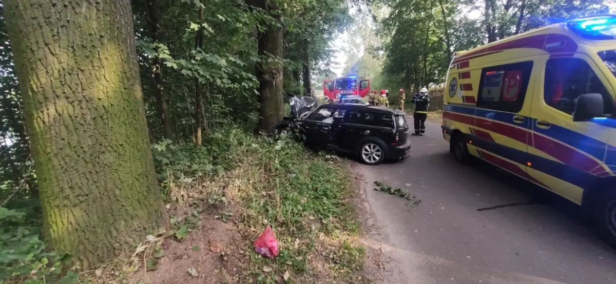 Zdarzenie między Modlikowicami a Zagrodnem