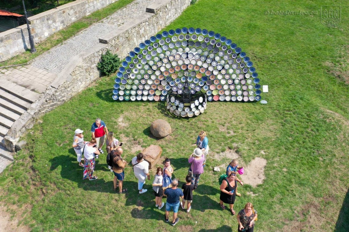 Niezwykły paw przy bolesławieckim rynku