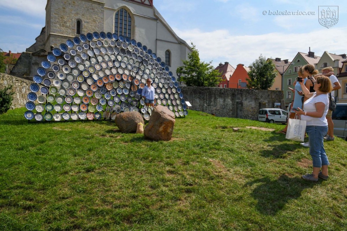 Niezwykły paw przy bolesławieckim rynku