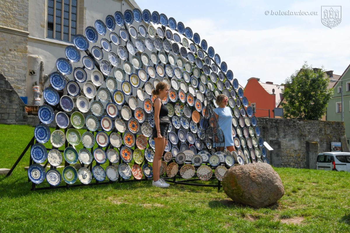 Niezwykły paw przy bolesławieckim rynku