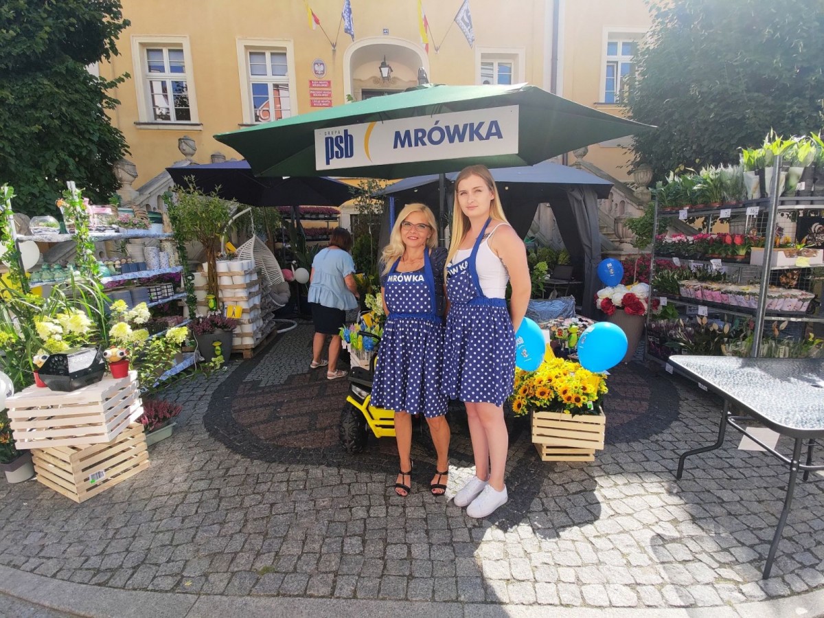 Święto ceramiki: rynek, piątkowe przedpołudnie