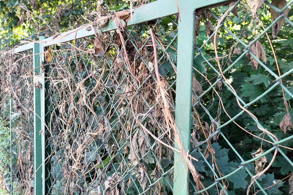 Ogrodzenie na skrzyżowaniu Gdańskiej i Kwiatowej w Bolesławcu