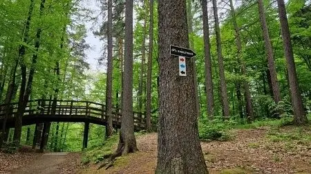 Singletrack