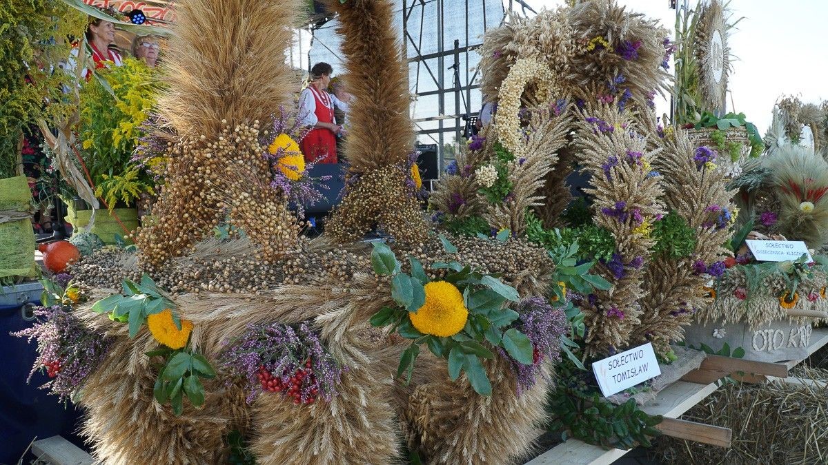 Dożynki w powiecie bolesławieckim