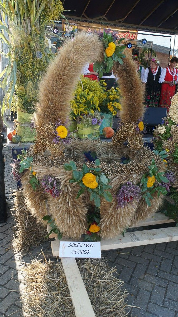 Dożynki w powiecie bolesławieckim