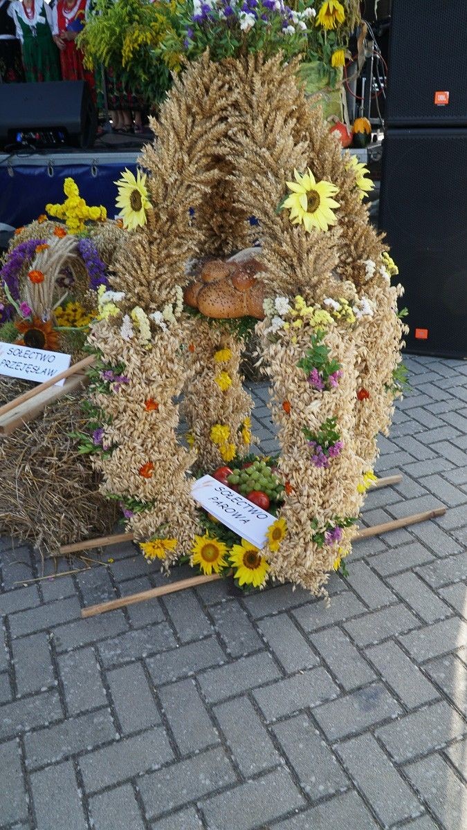 Dożynki w powiecie bolesławieckim