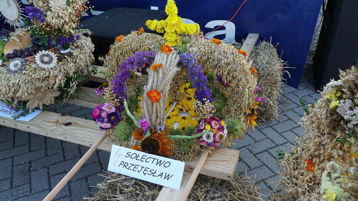 Dożynki w powiecie bolesławieckim