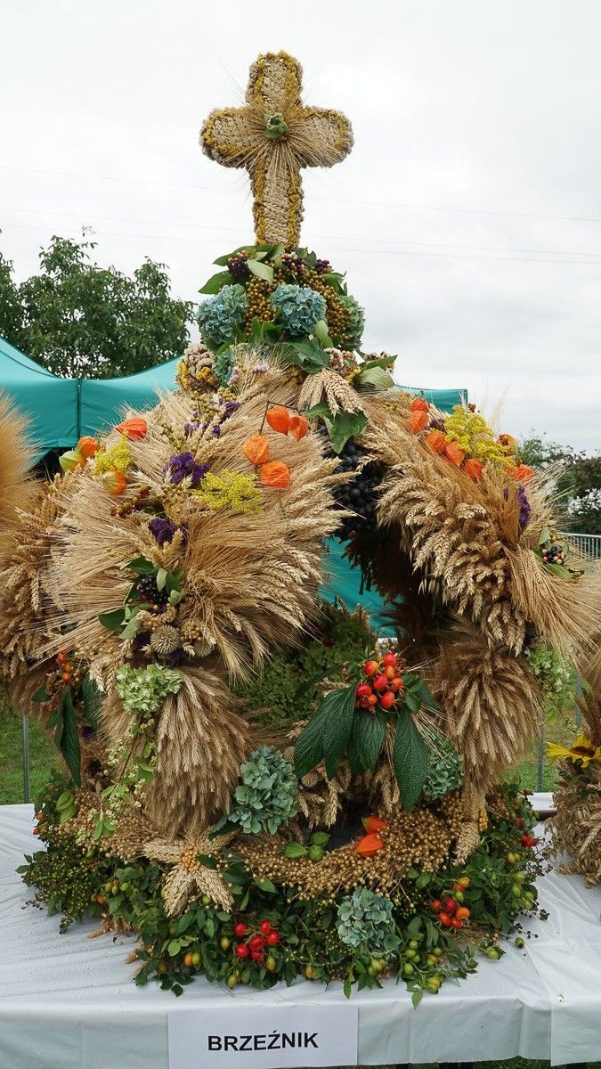 Dożynki w powiecie bolesławieckim