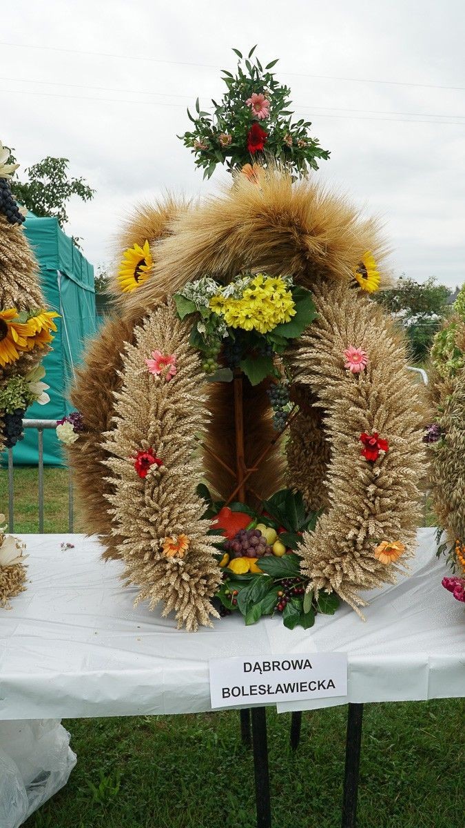 Dożynki w powiecie bolesławieckim