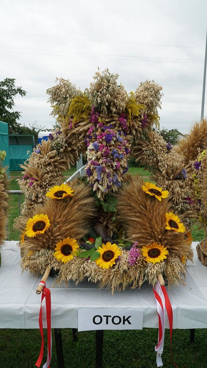 Dożynki w powiecie bolesławieckim