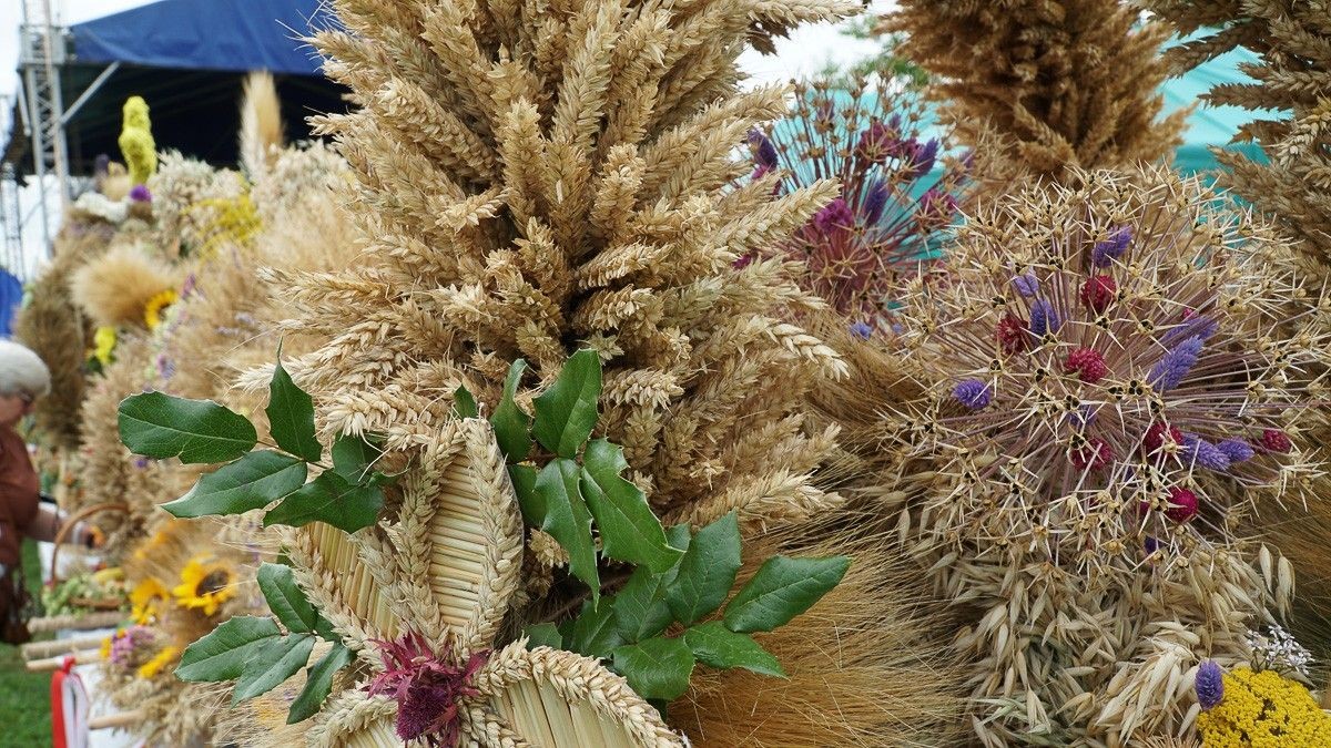 Dożynki w powiecie bolesławieckim